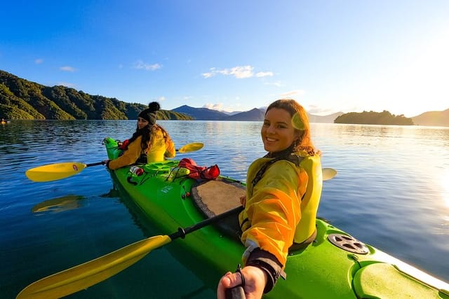 Half day Sea Kayak Guided Tour from Picton - Photo 1 of 7